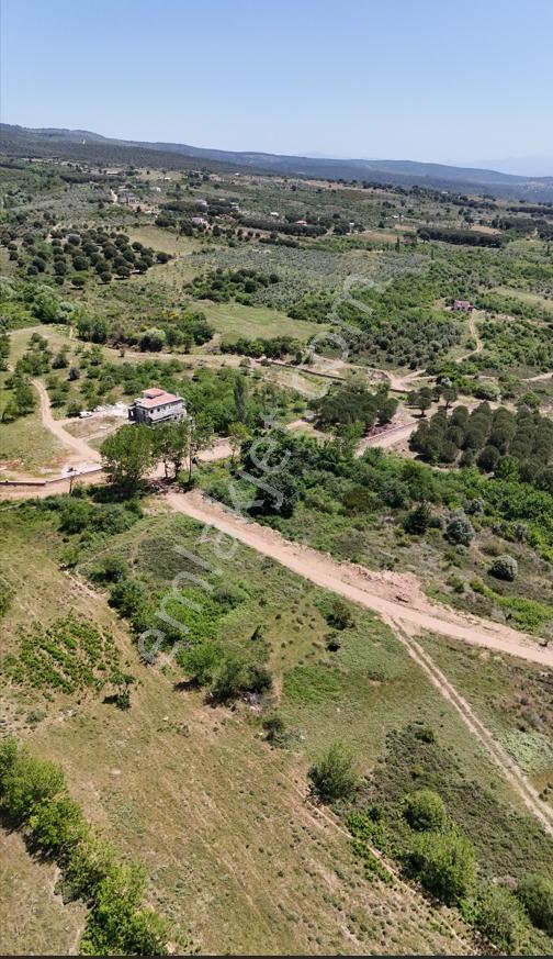 Mecidiye'de 3,5 Dönüm Kaçırılmayacak Eşsiz Fırsat Tarla - Görsel 9