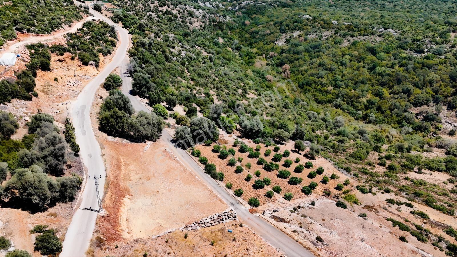Erdemli Esenpınar Ağlıca 1300 M2 Panoramik Deniz Manzaralı Arsa - Görsel 32