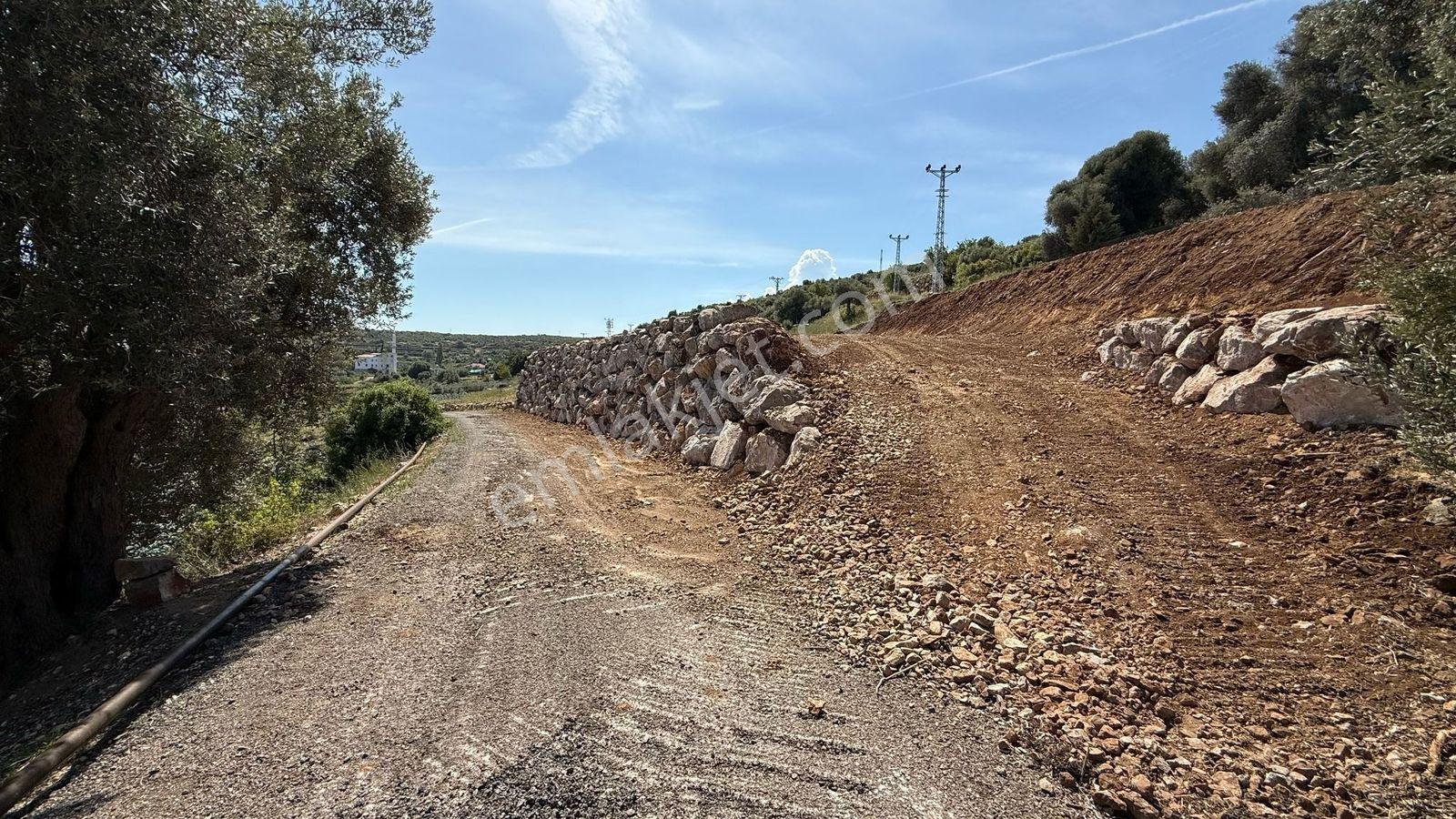 Erdemli Esenpınar Ağlıca 1300 M2 Panoramik Deniz Manzaralı Arsa - Görsel 27