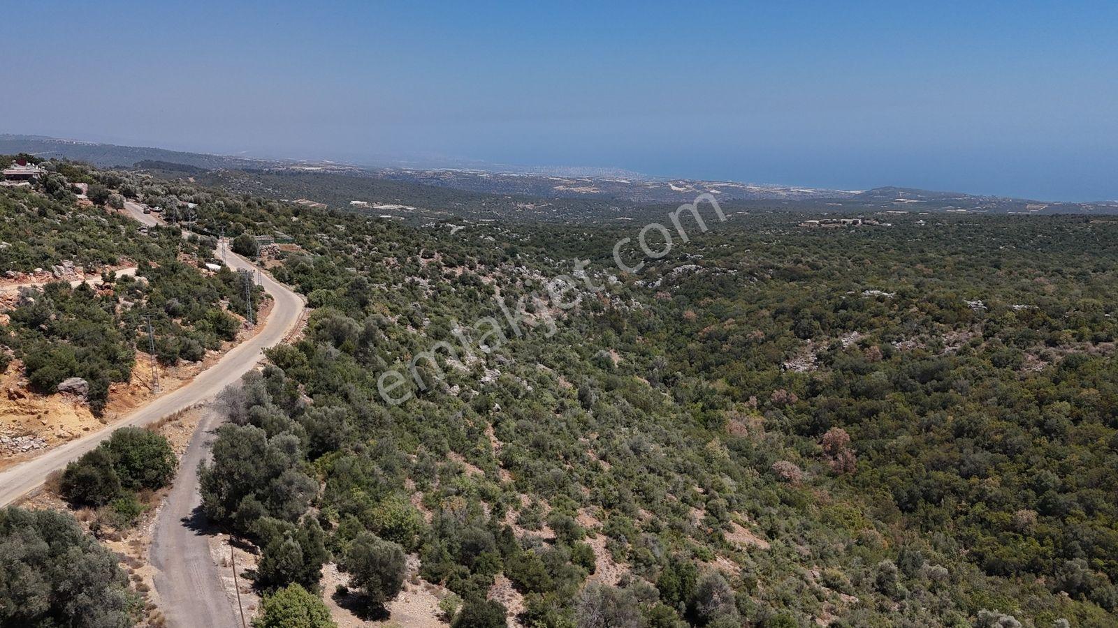 Erdemli Esenpınar Ağlıca 1300 M2 Panoramik Deniz Manzaralı Arsa - Görsel 7