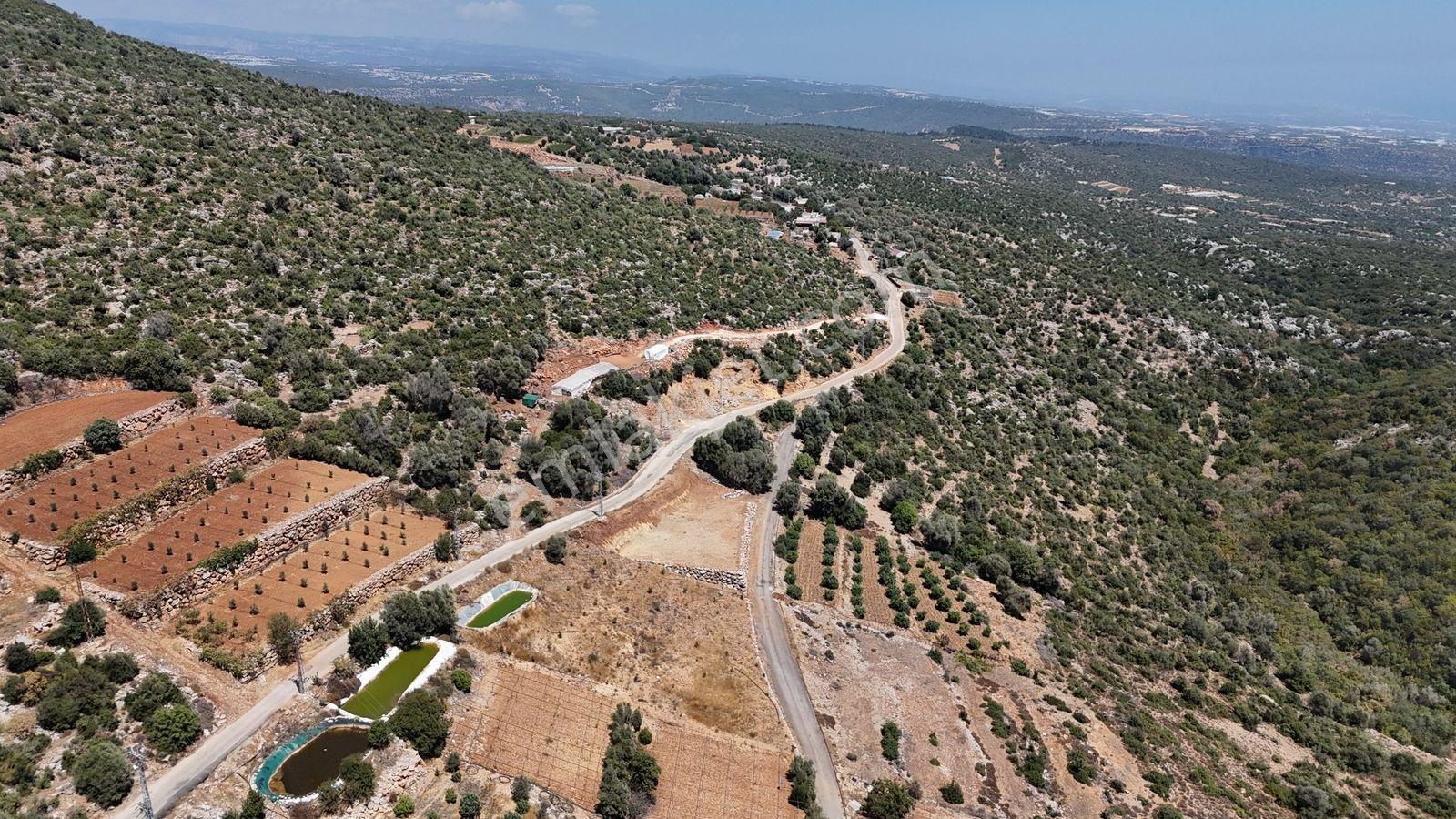 Erdemli Esenpınar Ağlıca 1300 M2 Panoramik Deniz Manzaralı Arsa - Görsel 3