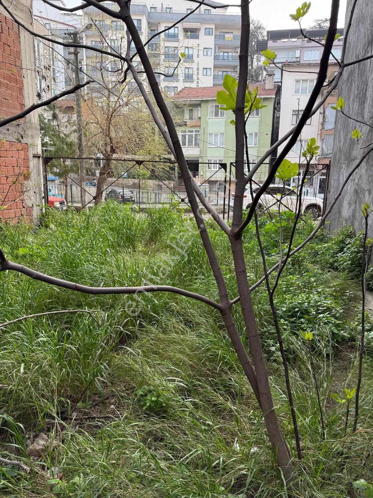 Bursa Mudanya Eğitim Mah De Satılık 4 Kat İmarlı Arsa - Görsel 2