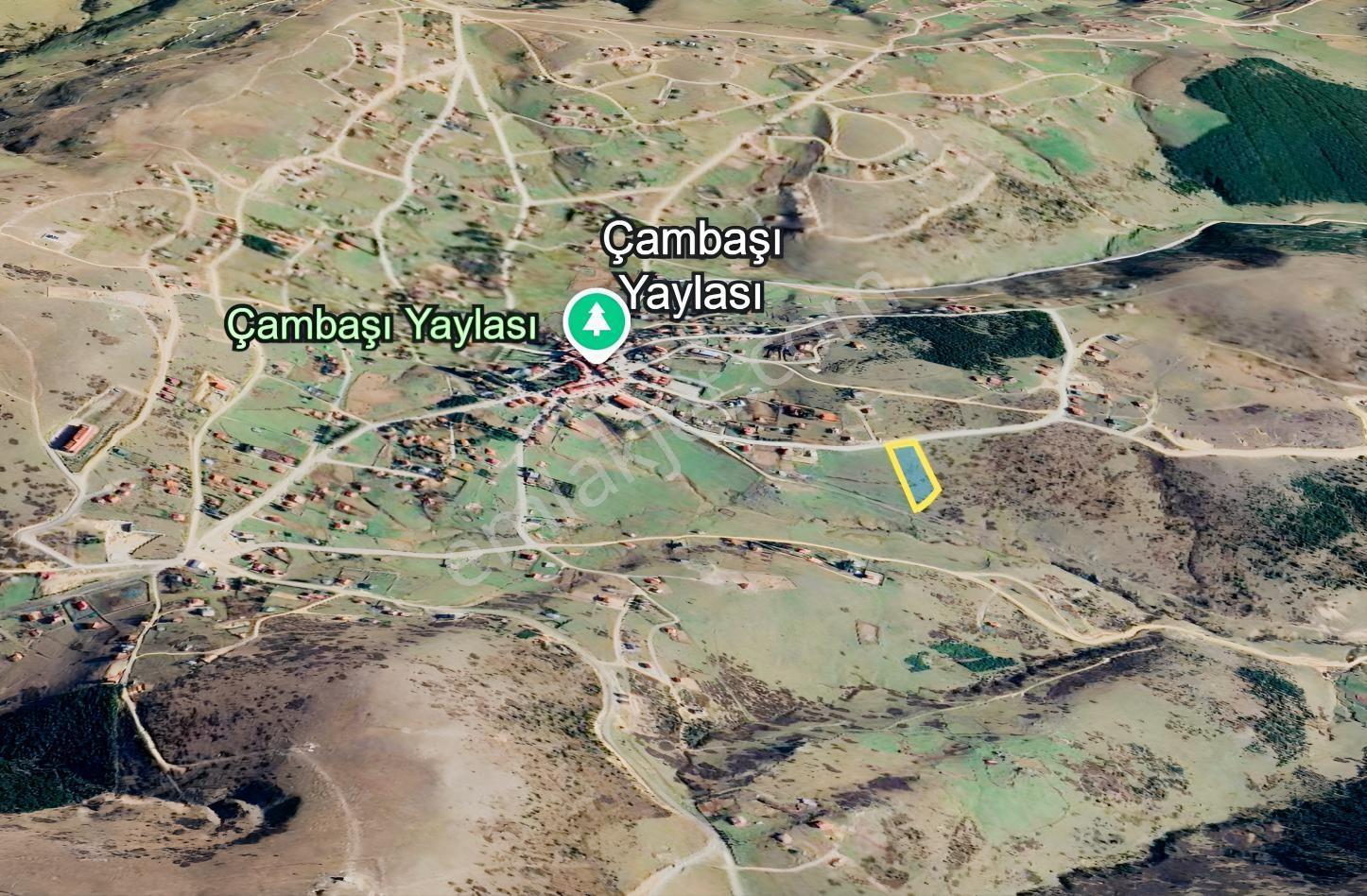 Ordu Kabadüz Çambaşı Yaylasında 1065 M2 Satılık Arsa - Görsel 4