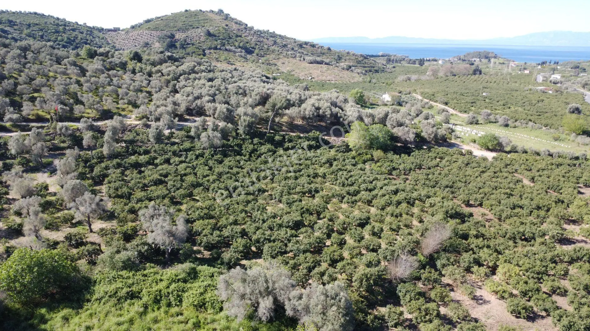 İzmir Menderes Özdere’de Kaçırılmayacak Fırsat! - Görsel 3