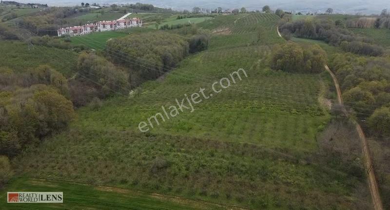 Sakarya Serdivanda Yerleşime Yakın Güzel Lokasyonda Bahçe - Görsel 32