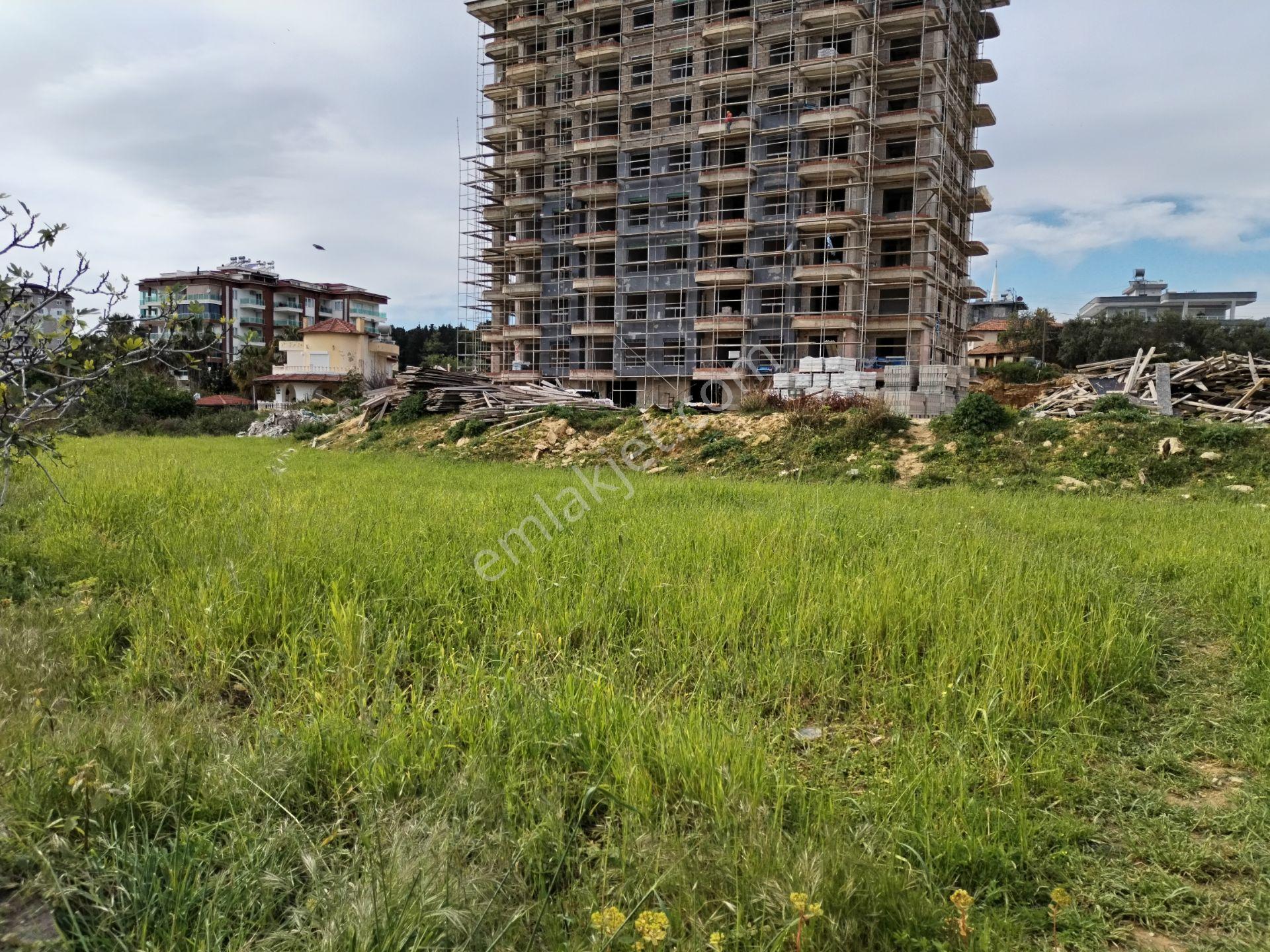 Avsallar - Akdam Mahallesinde Satılık İmarlı Arsa - Görsel 2