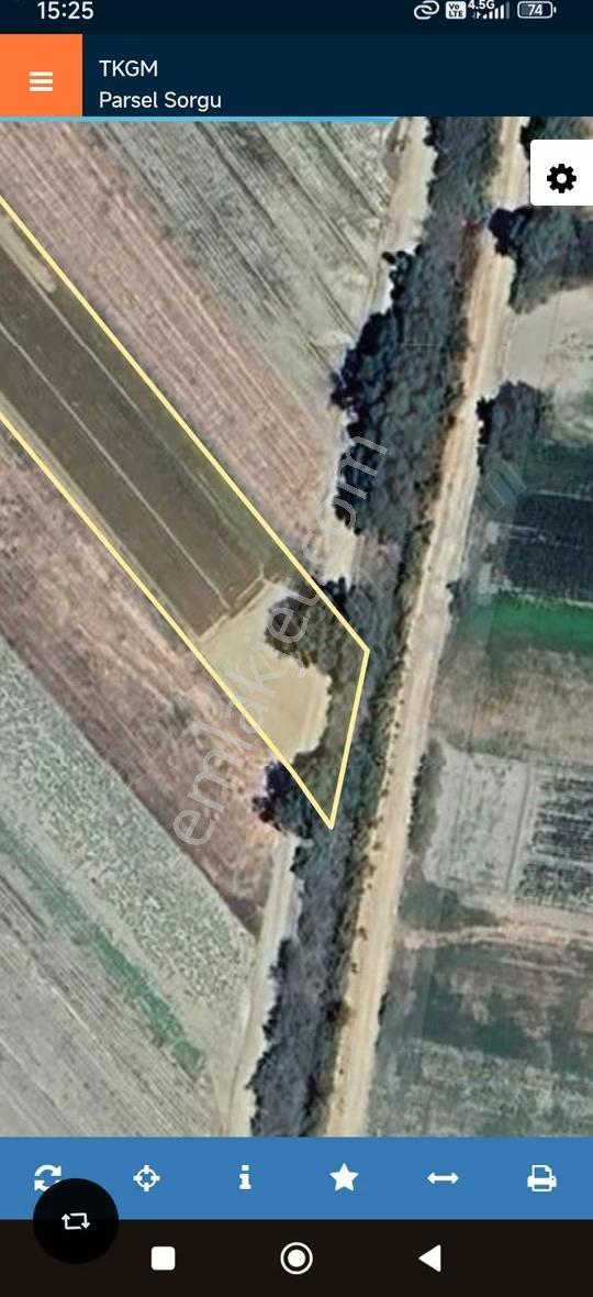 Mugla Gökova Nın Yaylası Çıtlık Tarla - Görsel 3