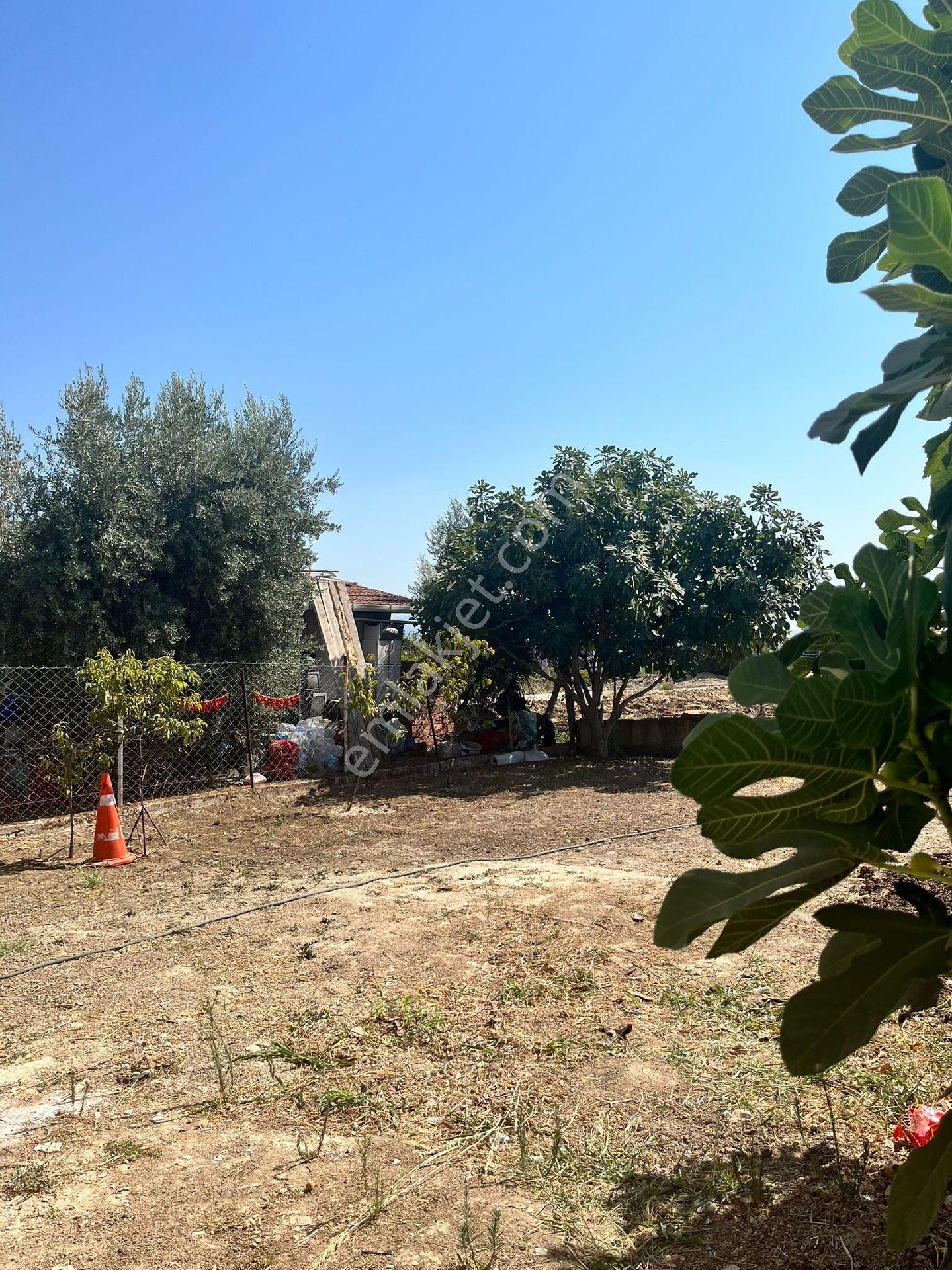İzmir Torbalı Ayrancılar İnönü Mah. Satılık Müstakil Ev.