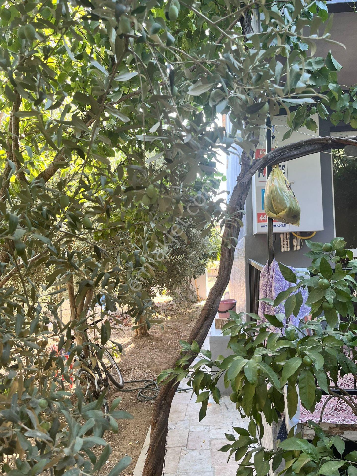 İzmir Torbalı Ayrancılar İnönü Mah. Satılık Müstakil Ev. - Görsel 22