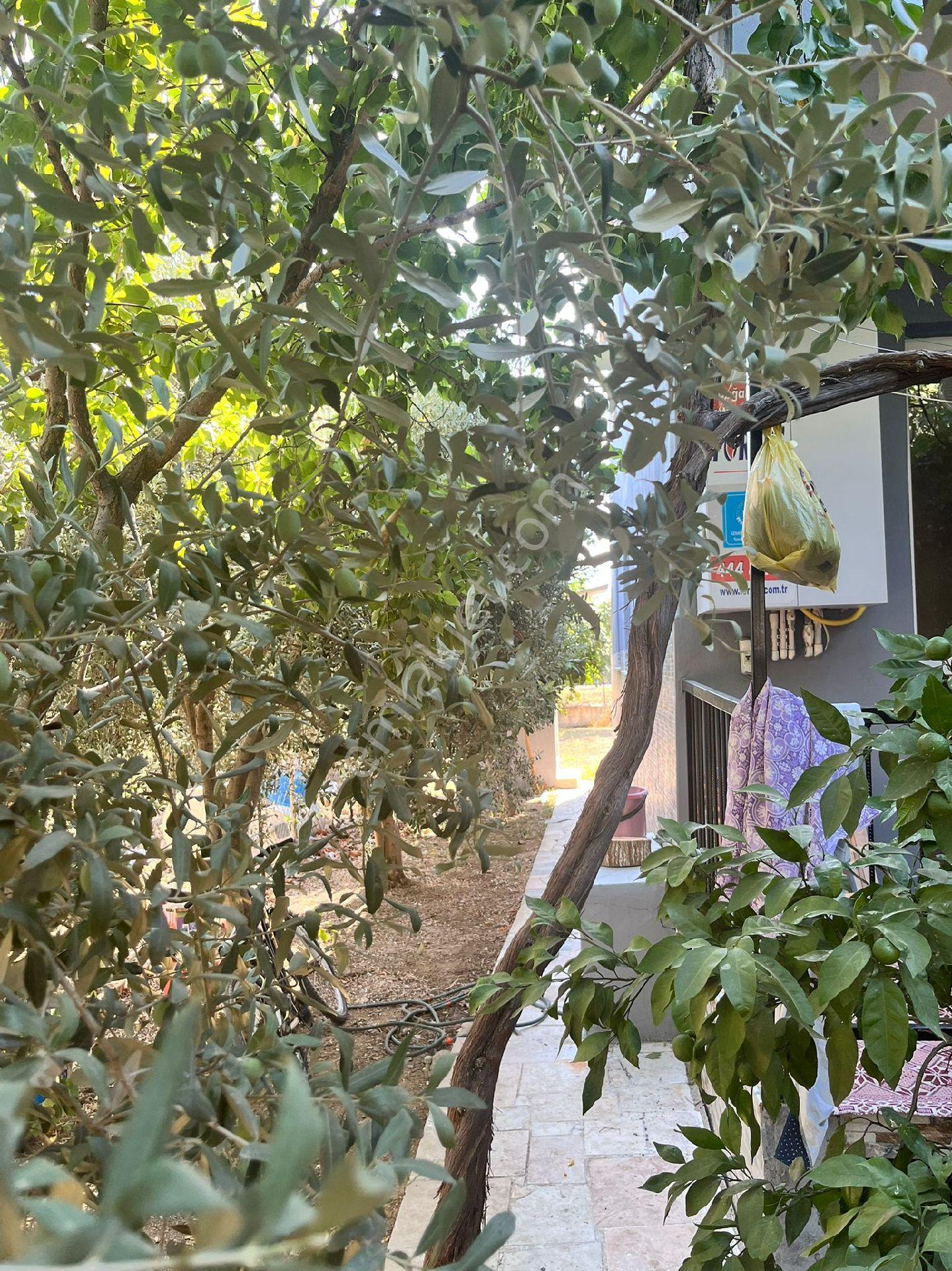 İzmir Torbalı Ayrancılar İnönü Mah. Satılık Müstakil Ev. - Görsel 15