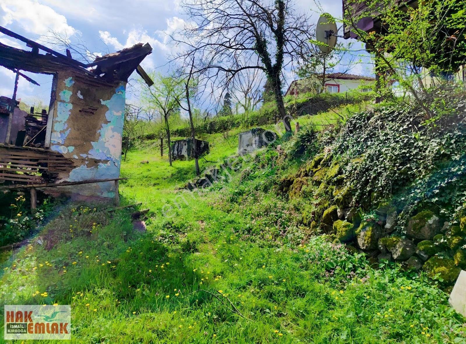 Hak Emlak'tan Gölyaka-hamamüstü Köyünde Satılık 3.495 M² Arsa - Görsel 22