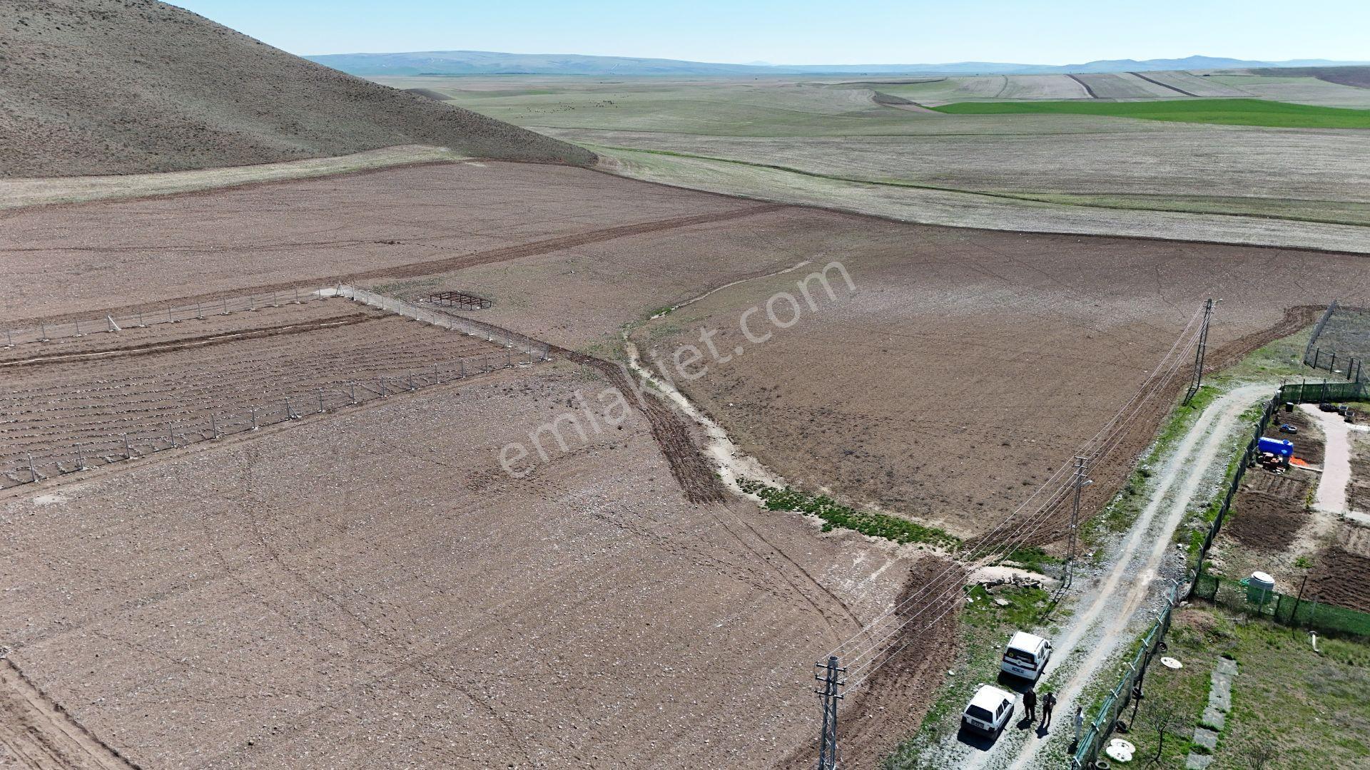 Beynamda 1000m2 Tek Tapu 0.30 Emsal Arsa Karadeniz Emlaktan - Görsel 17