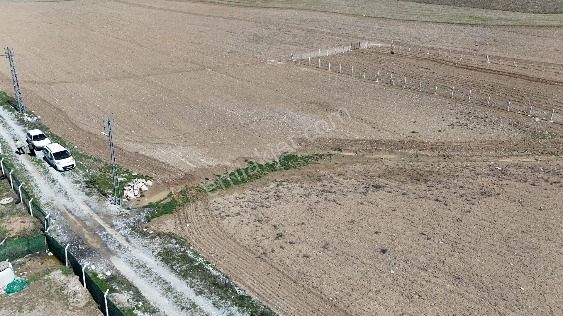 Beynamda 1000m2 Tek Tapu 0.30 Emsal Arsa Karadeniz Emlaktan - Görsel 21