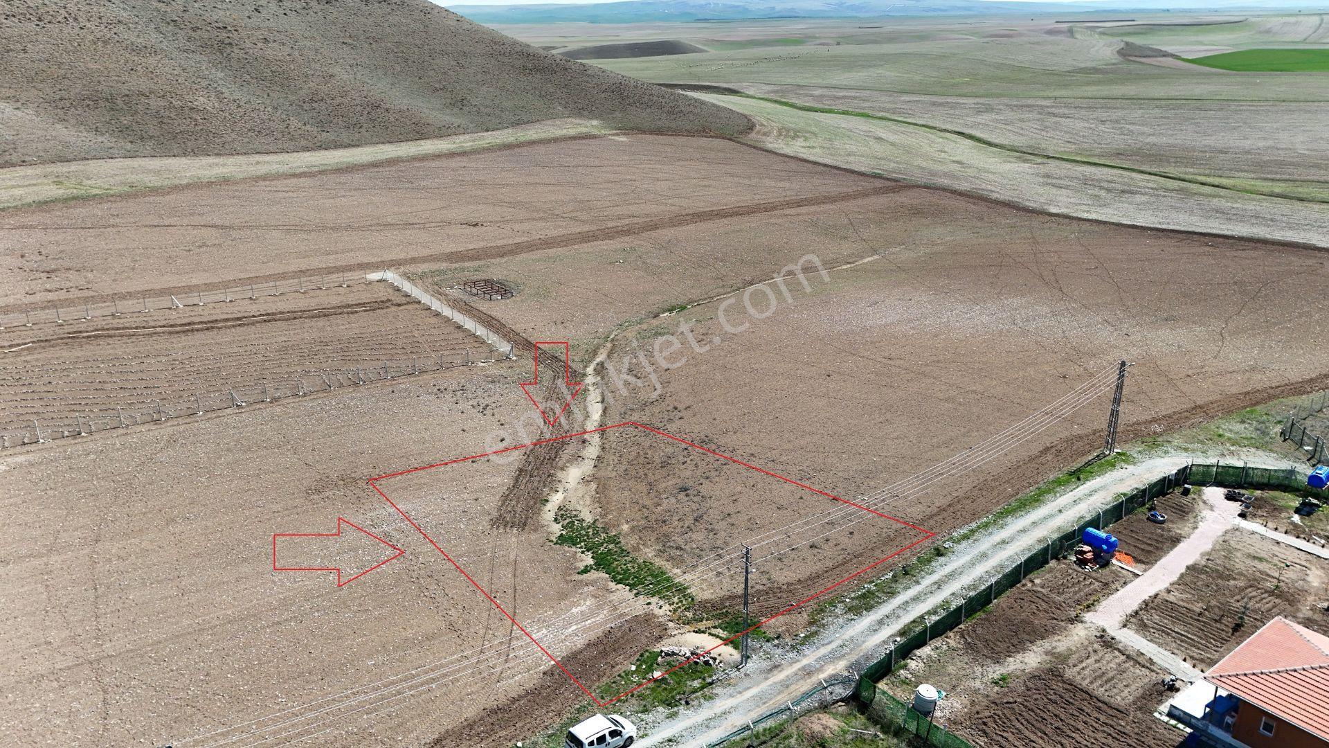 Beynamda 1000m2 Tek Tapu 0.30 Emsal Arsa Karadeniz Emlaktan - Görsel 6