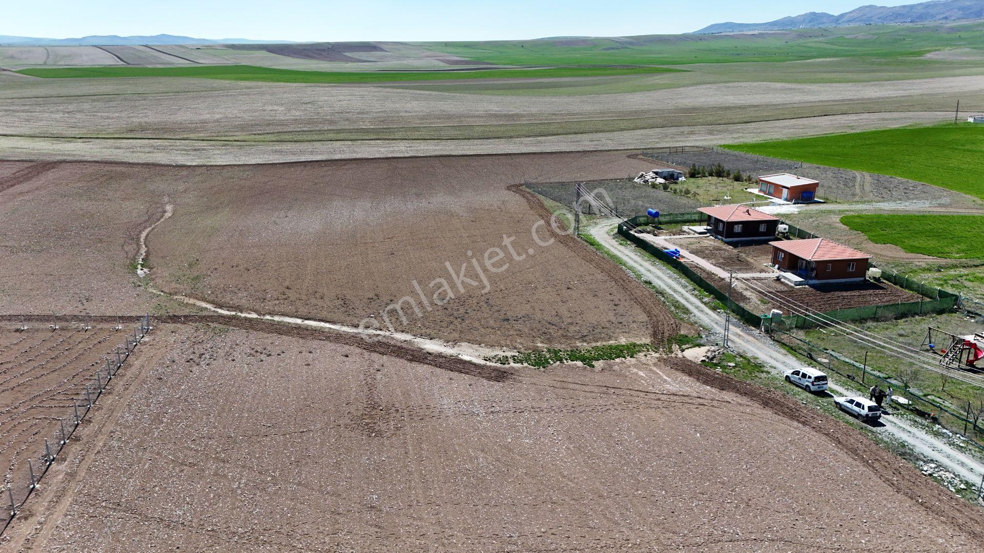 Beynamda 1000m2 Tek Tapu 0.30 Emsal Arsa Karadeniz Emlaktan - Görsel 15