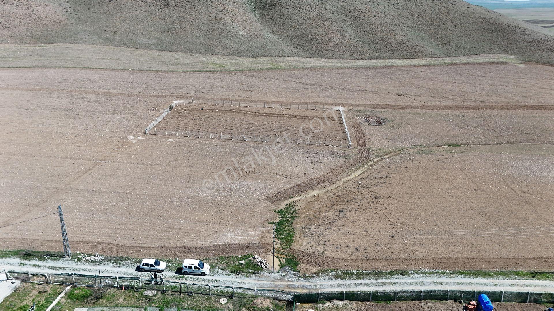 Beynamda 1000m2 Tek Tapu 0.30 Emsal Arsa Karadeniz Emlaktan - Görsel 7