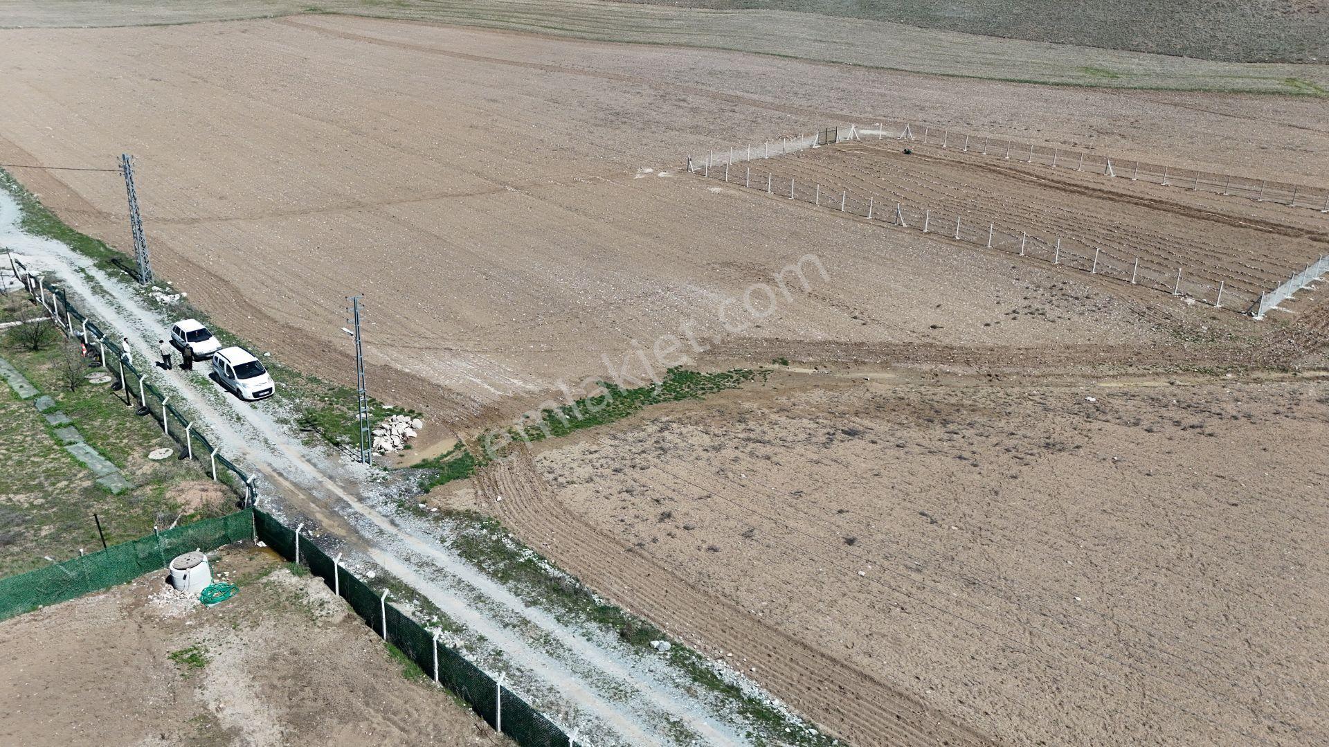 Beynamda 1000m2 Tek Tapu 0.30 Emsal Arsa Karadeniz Emlaktan - Görsel 20