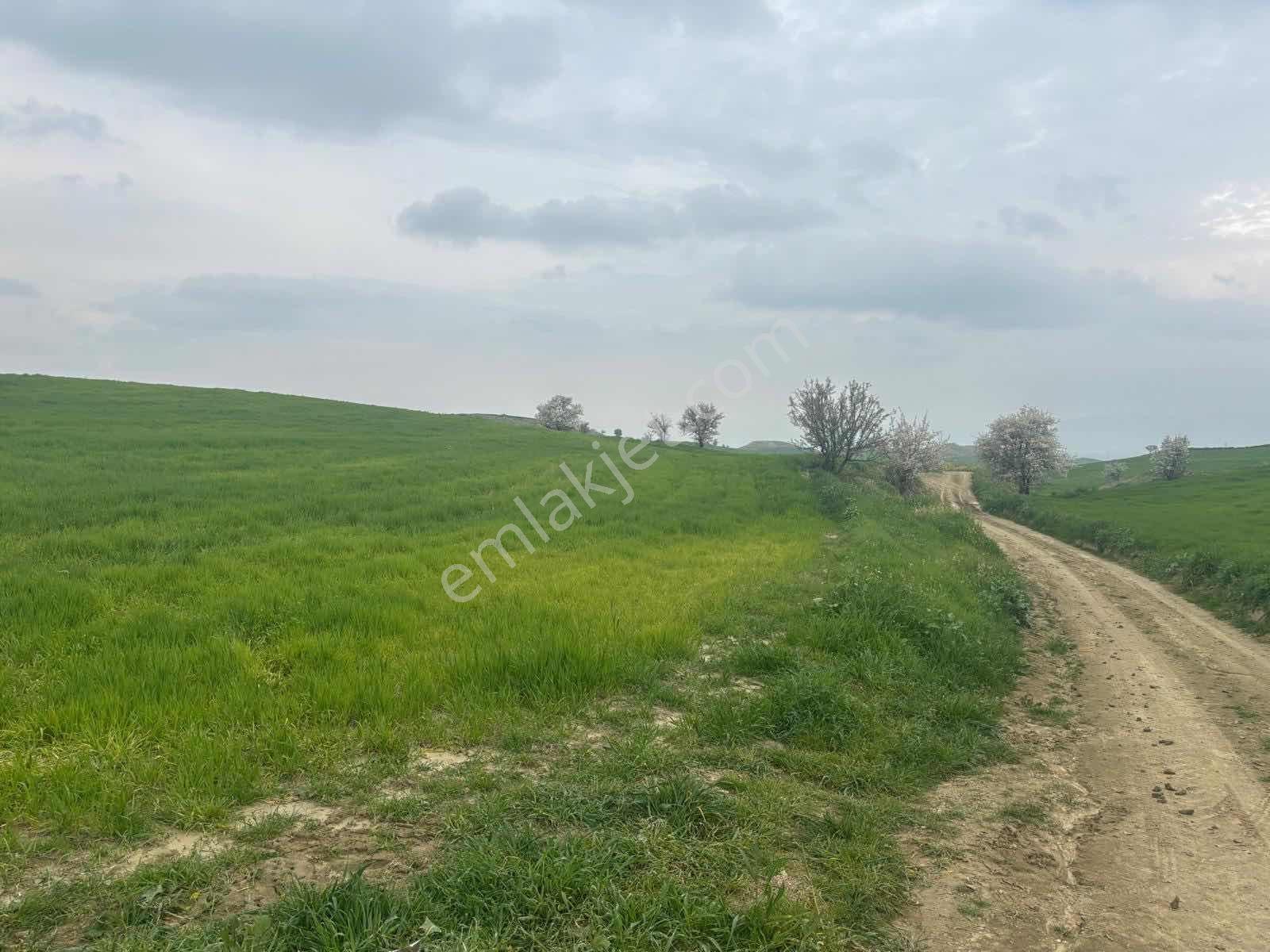 Yatırımlüx'ten Hacıeyüplü'de 28.100 M2 Tarla - Görsel 3