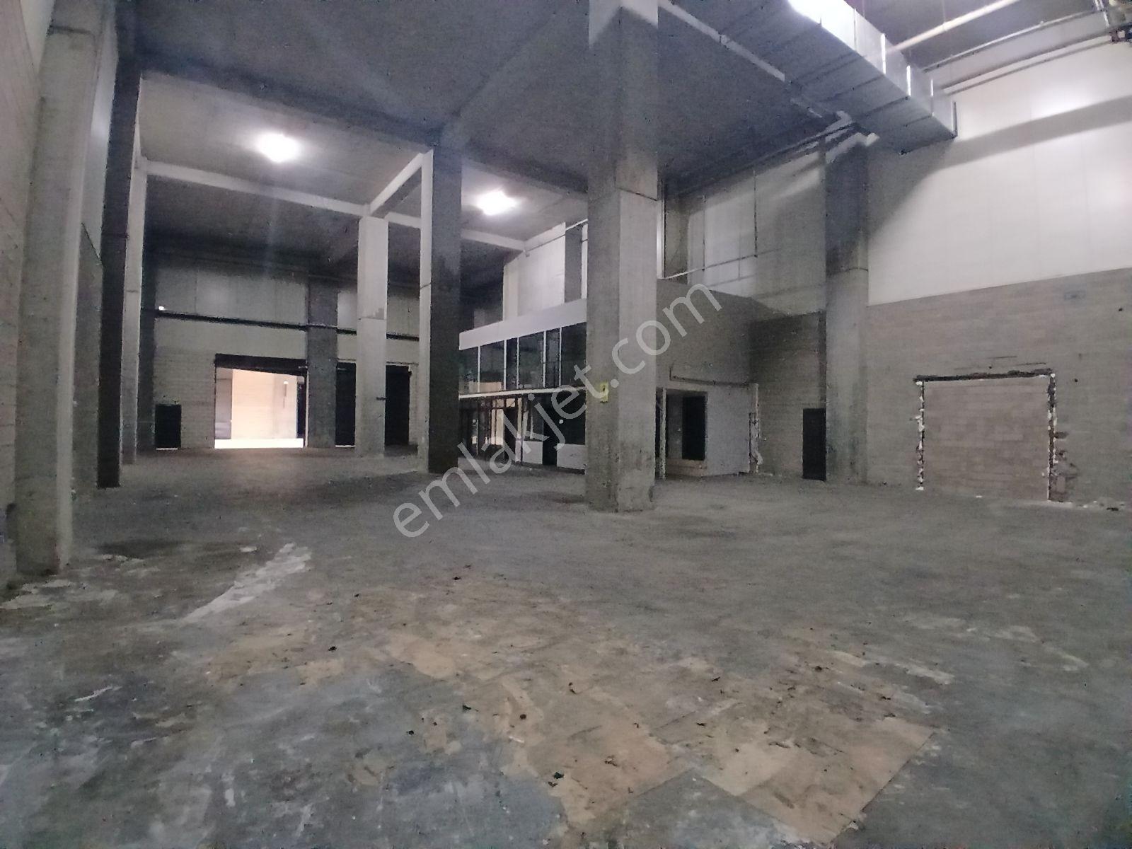 | Kiralık | İş Modern | Ambarlı | Depo & İmalathane | 800m² | - Görsel 6