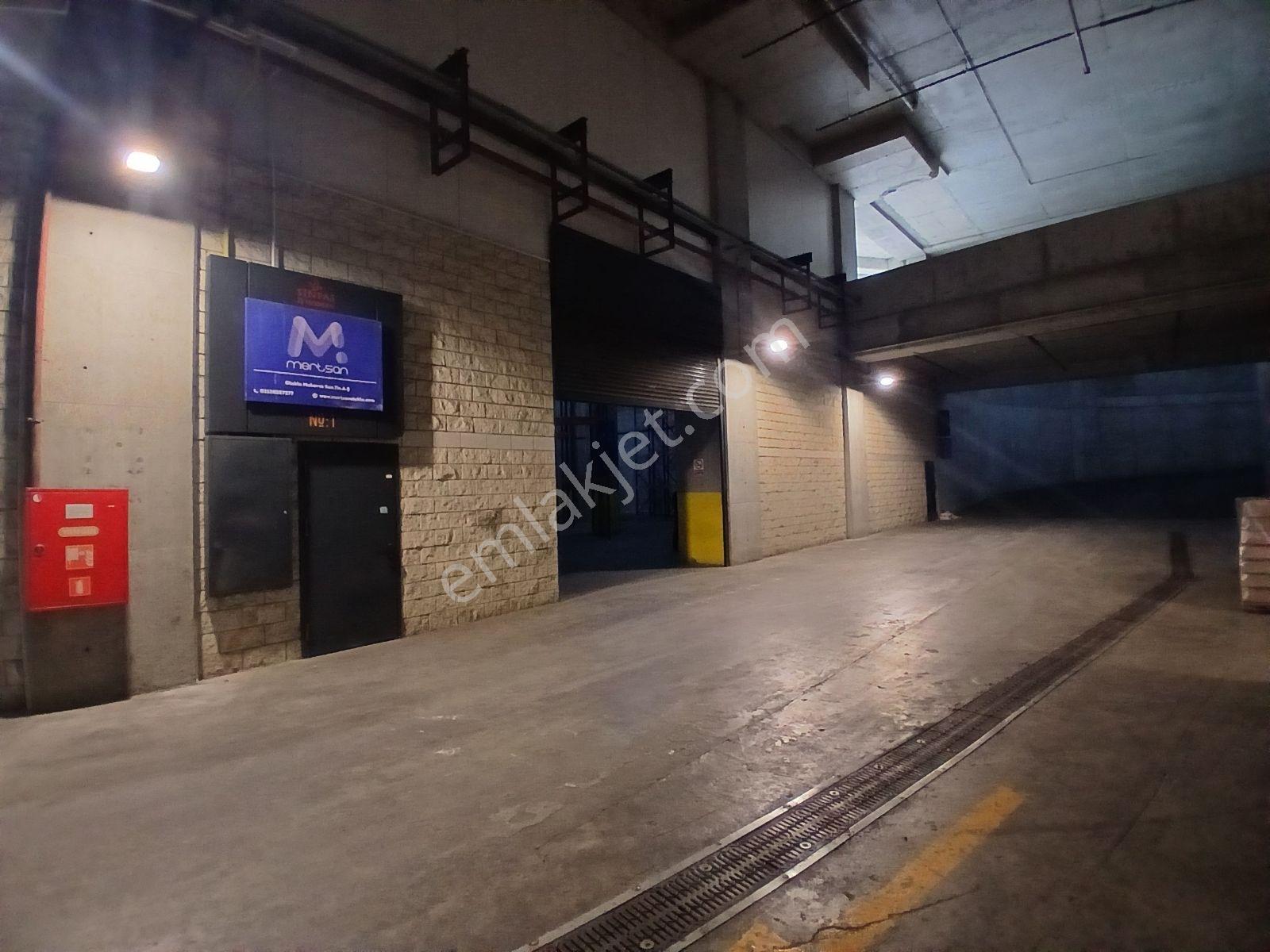 | Kiralık | İş Modern | Ambarlı | Depo & İmalathane | 1.308m² | - Görsel 3