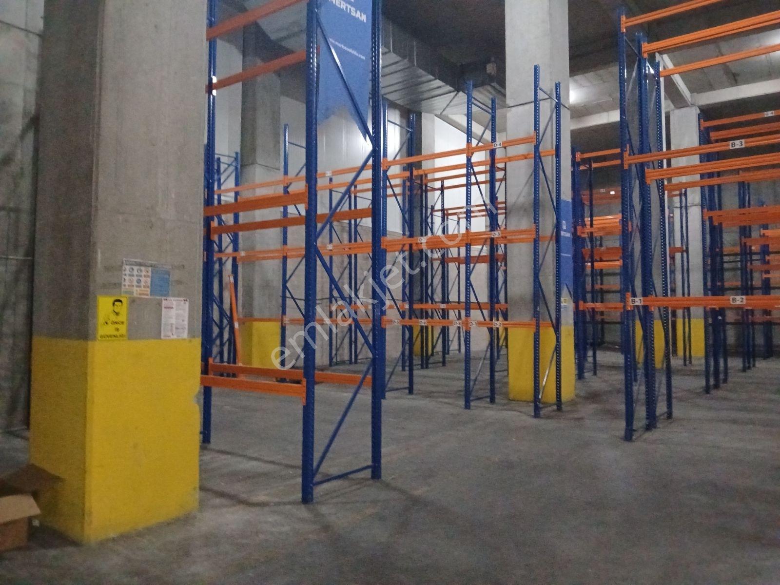 | Kiralık | İş Modern | Ambarlı | Depo & İmalathane | 1.308m² | - Görsel 11