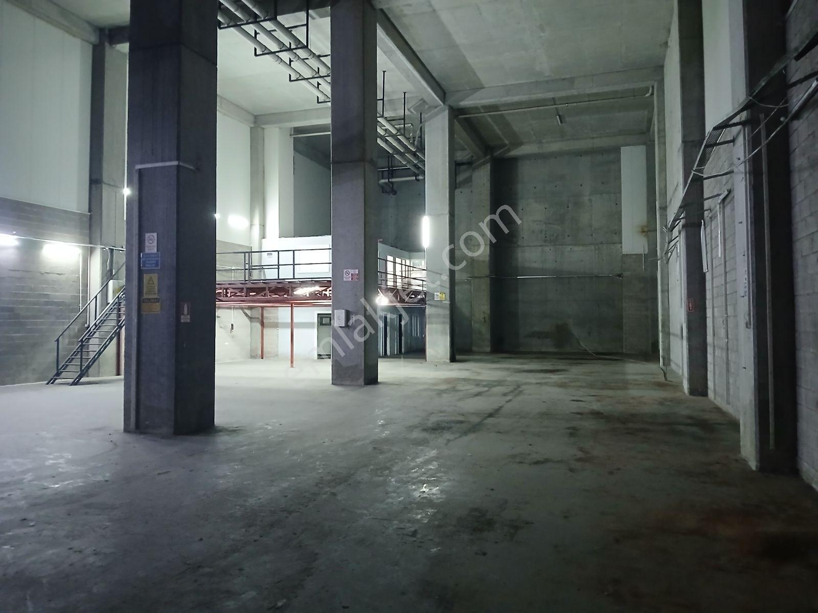 | Kiralık | İş Modern | Ambarlı | İmalathane | 800m² |