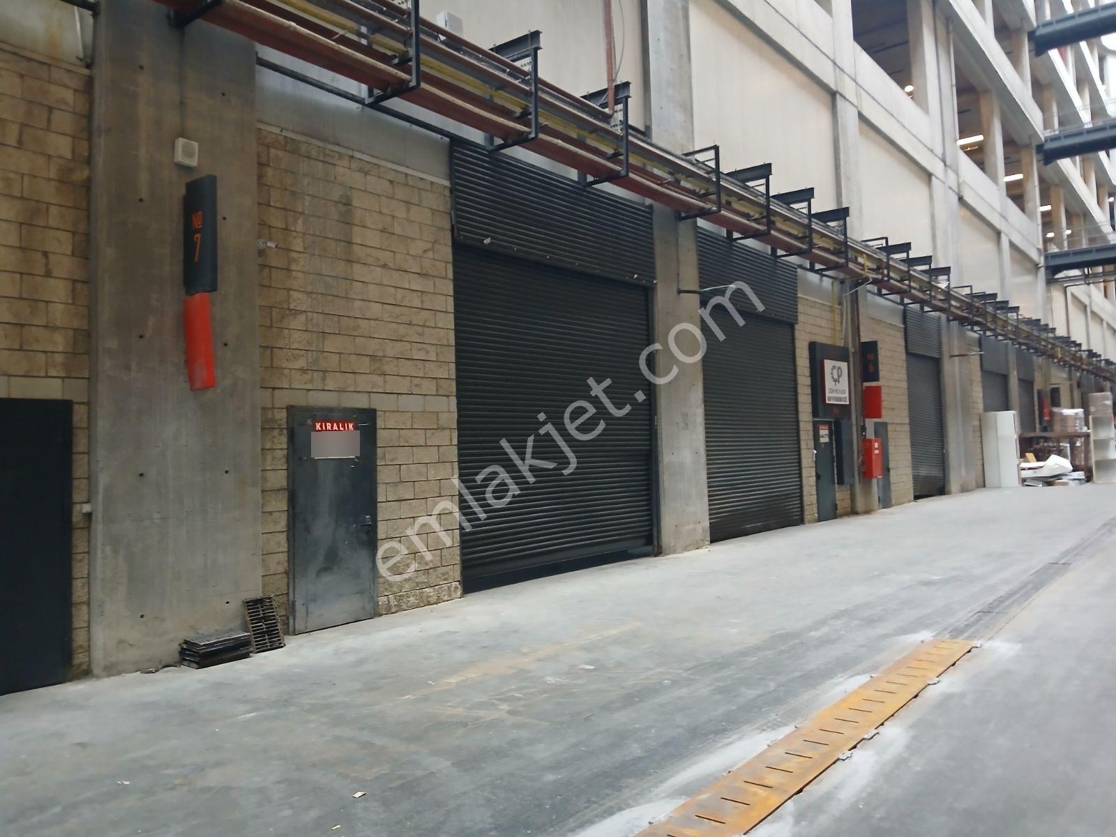 | Kiralık | İş Modern | Ambarlı | İmalathane | 800m² | - Görsel 4