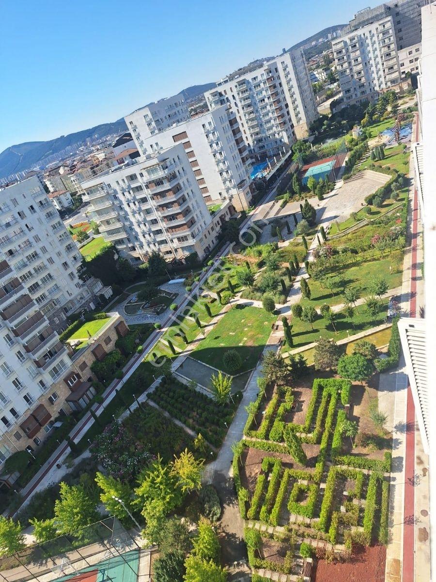 | Kiralık | Sinpaş | Egeboyu | 1 + 1 | - Görsel 3