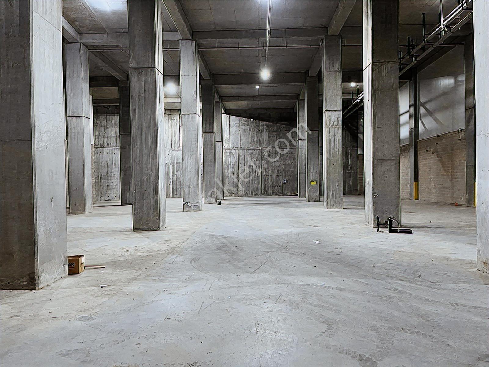 | Kiralık | İş Modern | Ambarlı | Depo | 1.375m² |