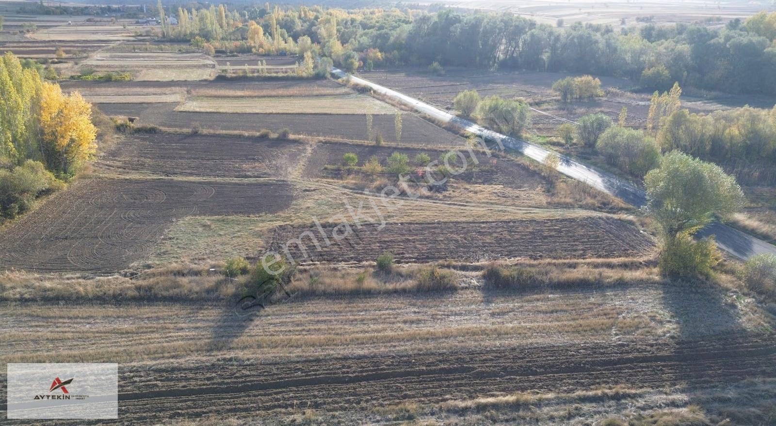 Doğanhisar Koçaş Mahallesinde 600 M² Müstakil Tapulu Tarla - Görsel 6