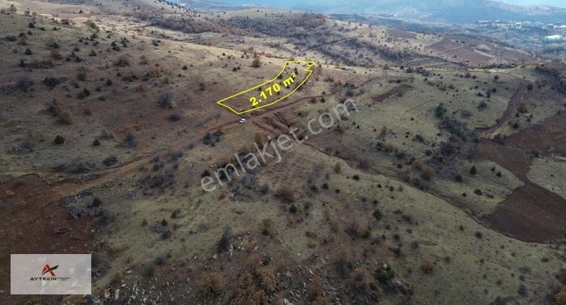 Hadim Yukarıeşenler Mahallesinde 2.170 M² Müstakil Tapulu Tarla - Görsel 2
