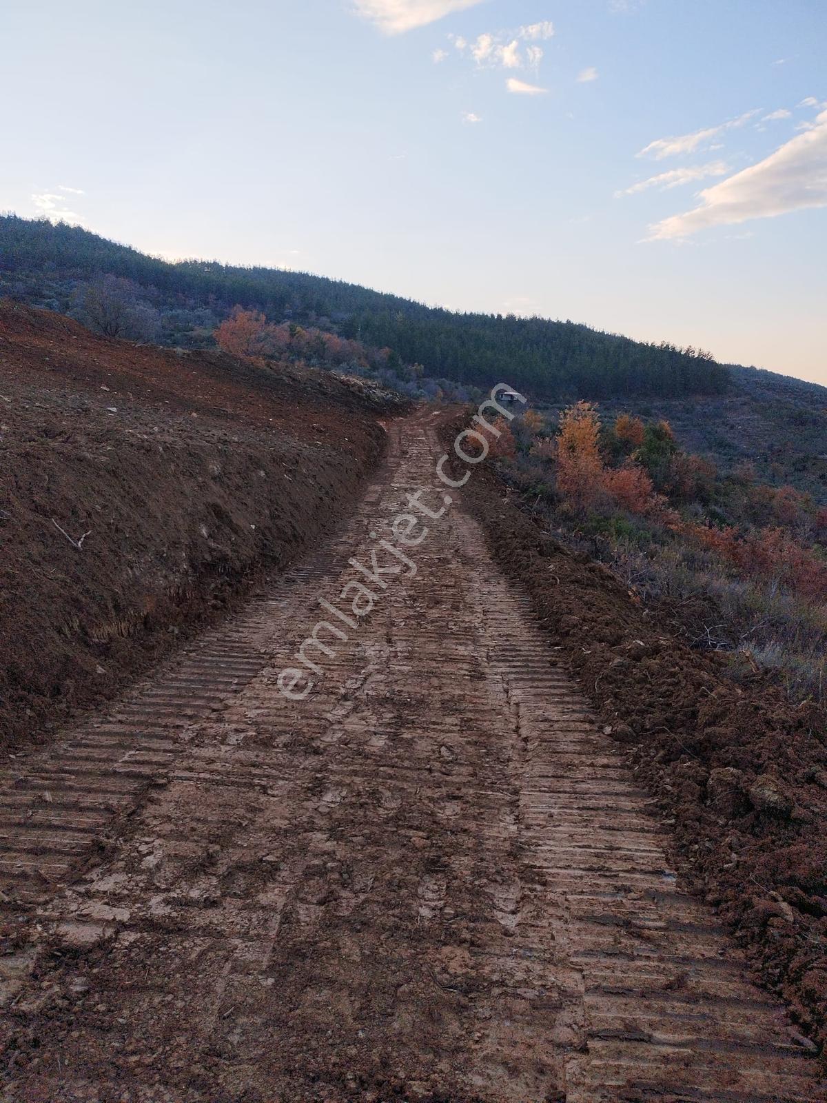 Hafriyat Çalışması Yapılmış Merkeze Yakın Tarla - Görsel 5
