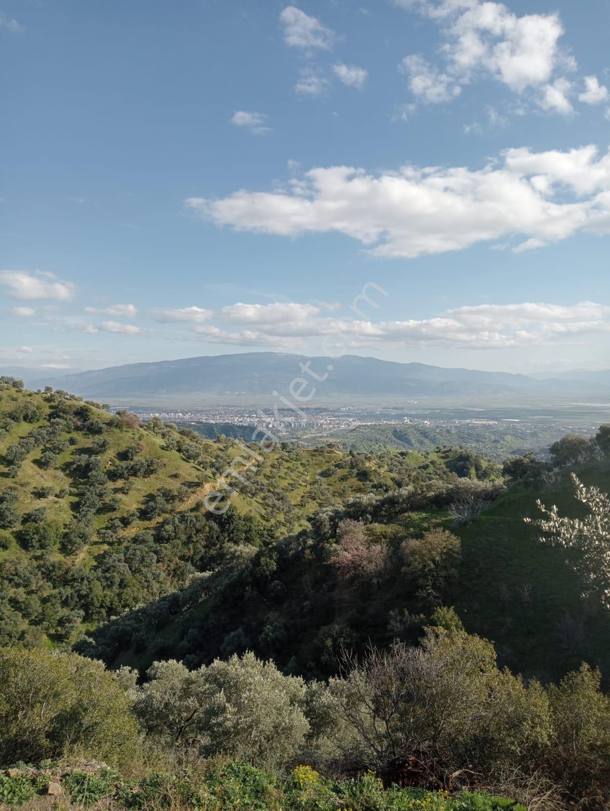Yaylapınar 2500 M2 Satılık Bahçe - Görsel 3