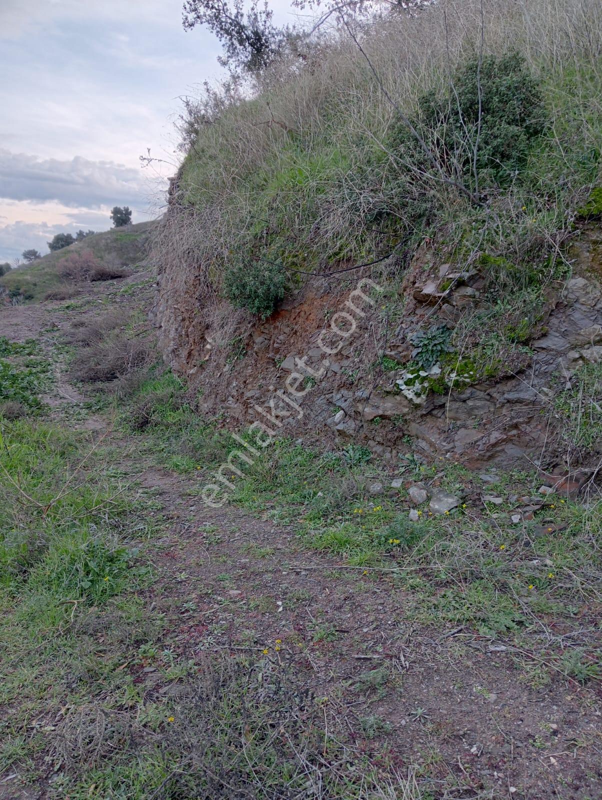 Yaylapınar 2500 M2 Satılık Bahçe - Görsel 2