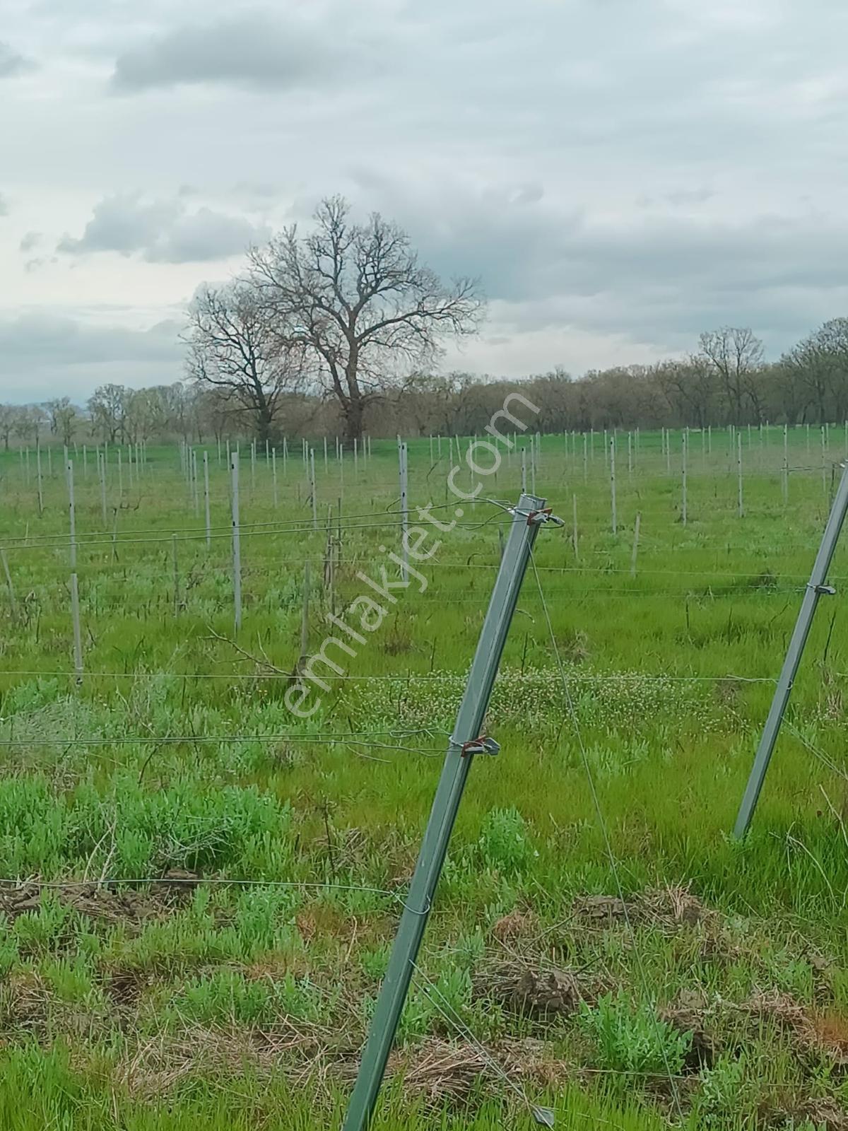 Newcıty Emlaktan Kızılcıkdere Köyüne Yakın 13.500 M2 Tarla - Görsel 4
