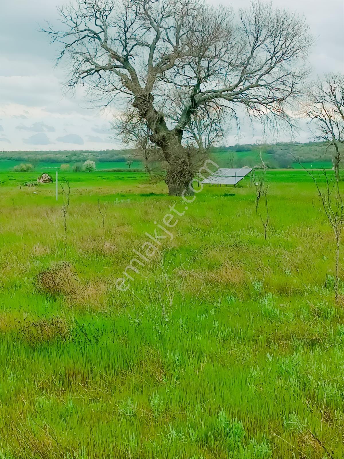 Newcıty Emlaktan Kızılcıkdere Köyüne Yakın 13.500 M2 Tarla - Görsel 9