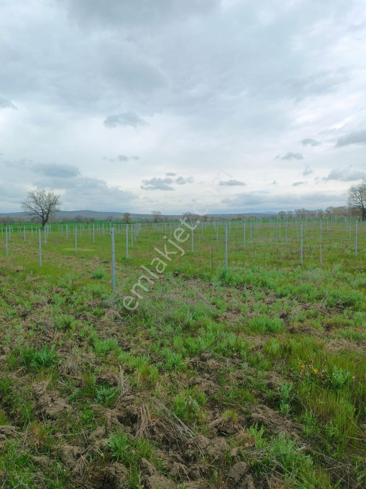 Newcıty Emlaktan Kızılcıkdere Köyüne Yakın 13.500 M2 Tarla - Görsel 14