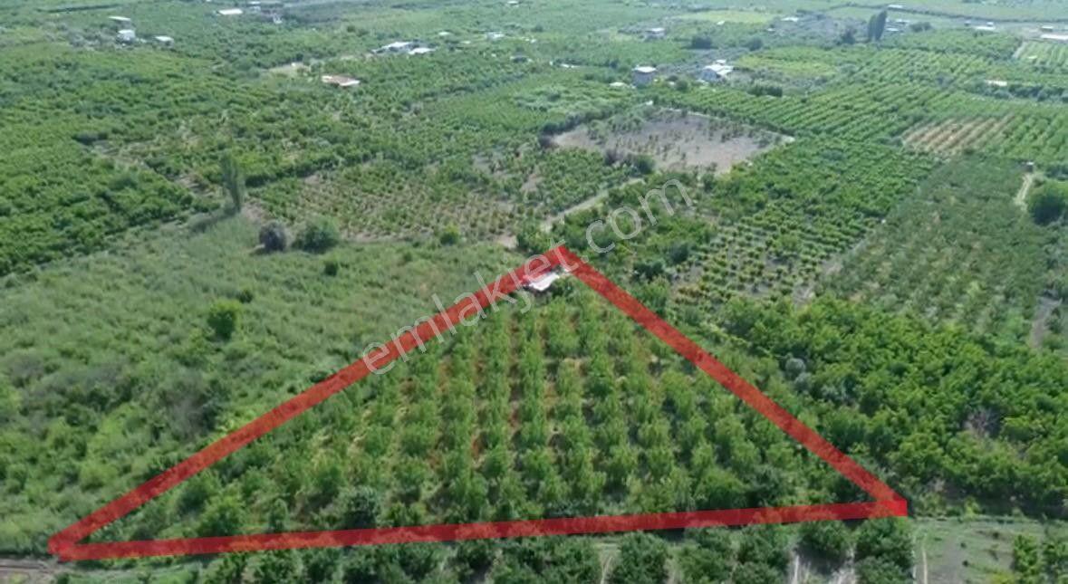 Kemalpaşa Ören’de Yatırımlık Bağ: Numaratajlı Yapı & Tapuya İşli Geçiş Hakkı