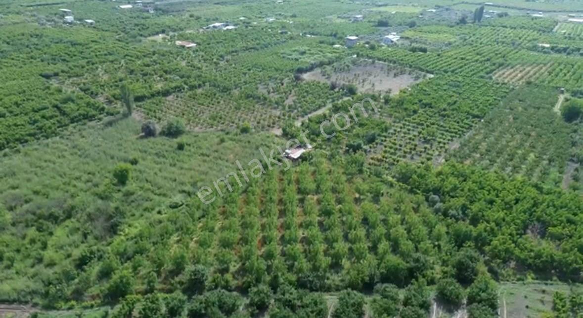 Kemalpaşa Ören’de Yatırımlık Bağ: Numaratajlı Yapı & Tapuya İşli Geçiş Hakkı - Görsel 4