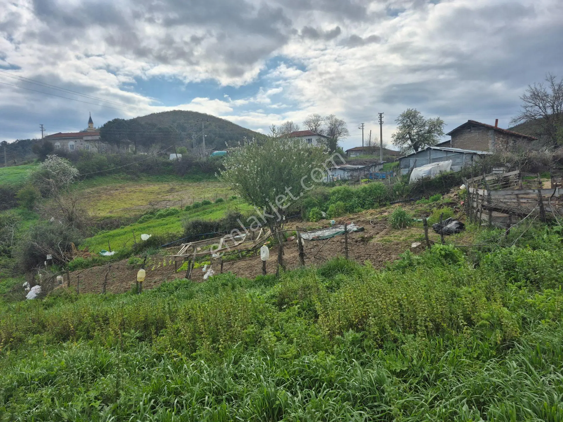 Çanakkale Çan Dondurma'da Köyiçi Satılık Arsa 4175m2
