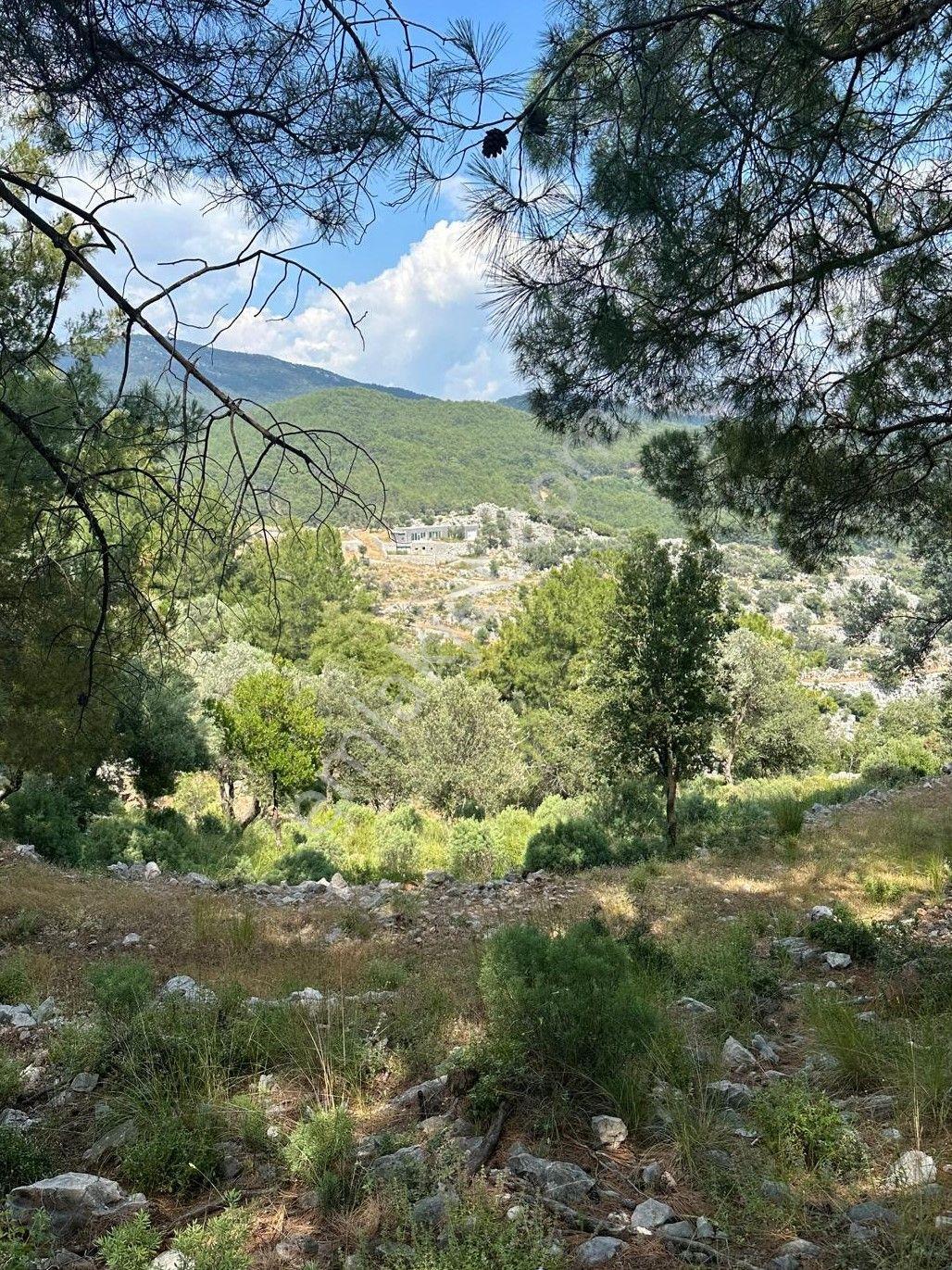 Stop’tan Göcek’e 10 Dakika Mesafede, Takasa Uygun, Müstakil Parsel - Görsel 11