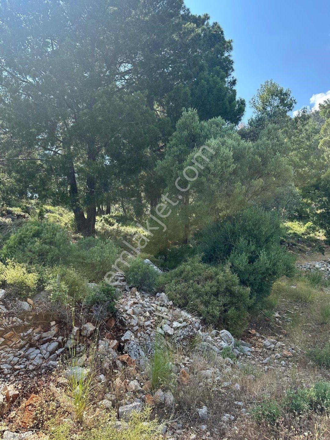 Stop’tan Göcek’e 10 Dakika Mesafede, Takasa Uygun, Müstakil Parsel - Görsel 12