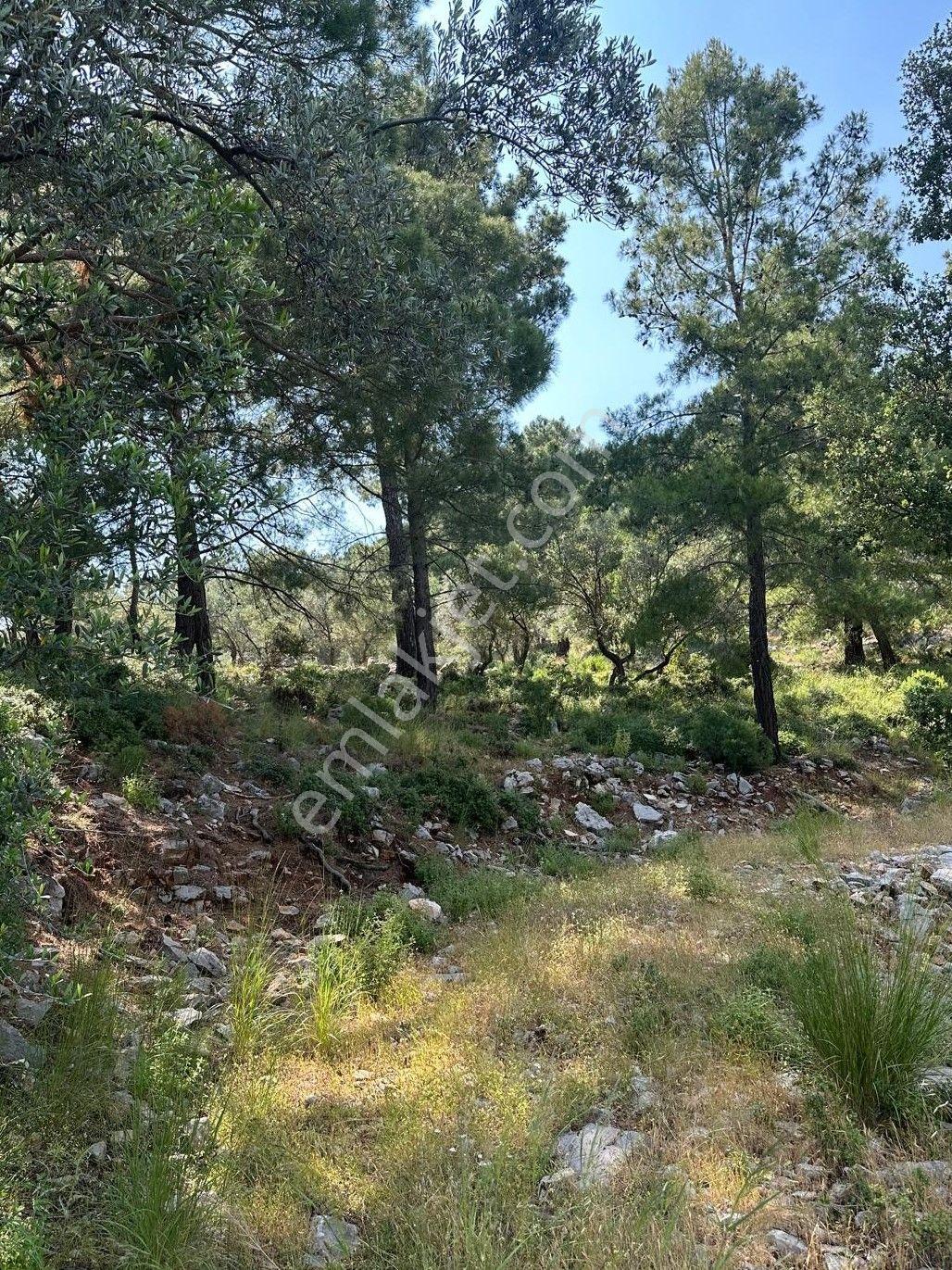 Stop’tan Göcek’e 10 Dakika Mesafede, Takasa Uygun, Müstakil Parsel - Görsel 9