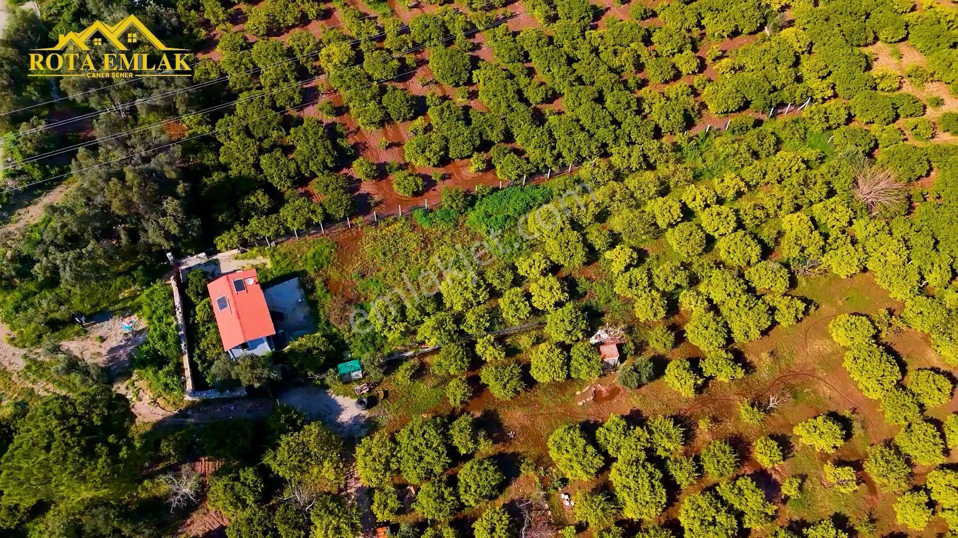 Rota Emlak'tan Seferihisar Ürkmez'de 1700m² Satılık Bahçe - Görsel 7