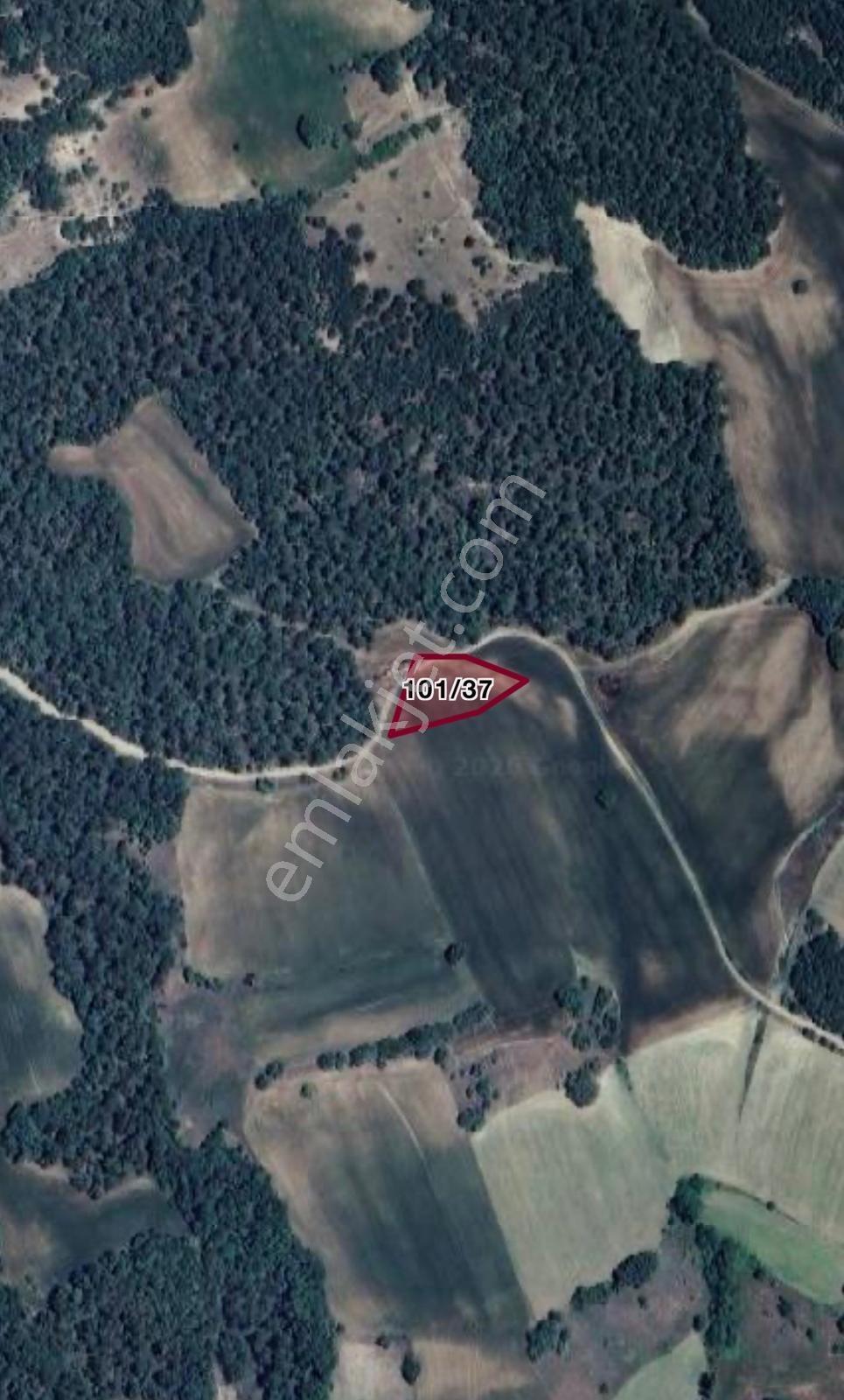 Sakarya Taraklı Aksuda 7.097 M² Geniş Satılık Tarla !!!! - Görsel 2
