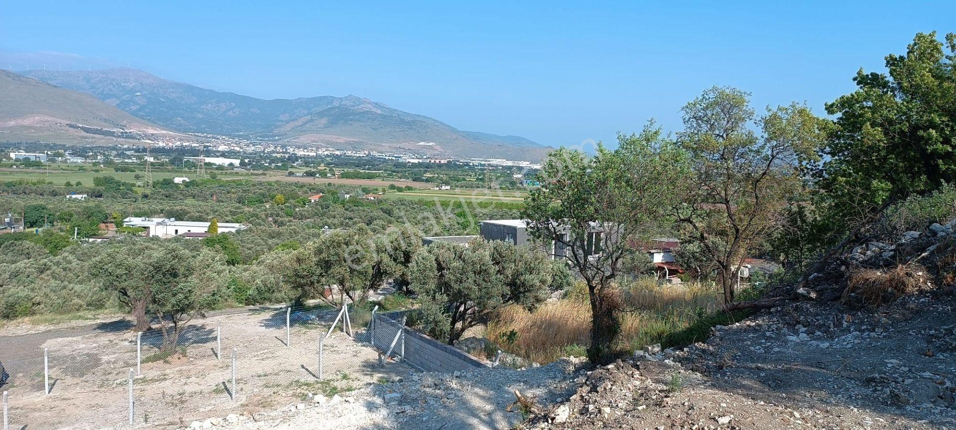 Aliağa Barbaros Hayrettin Paşa Mahallesinde İmar Dibinde Satılık Bahçe - Görsel 6