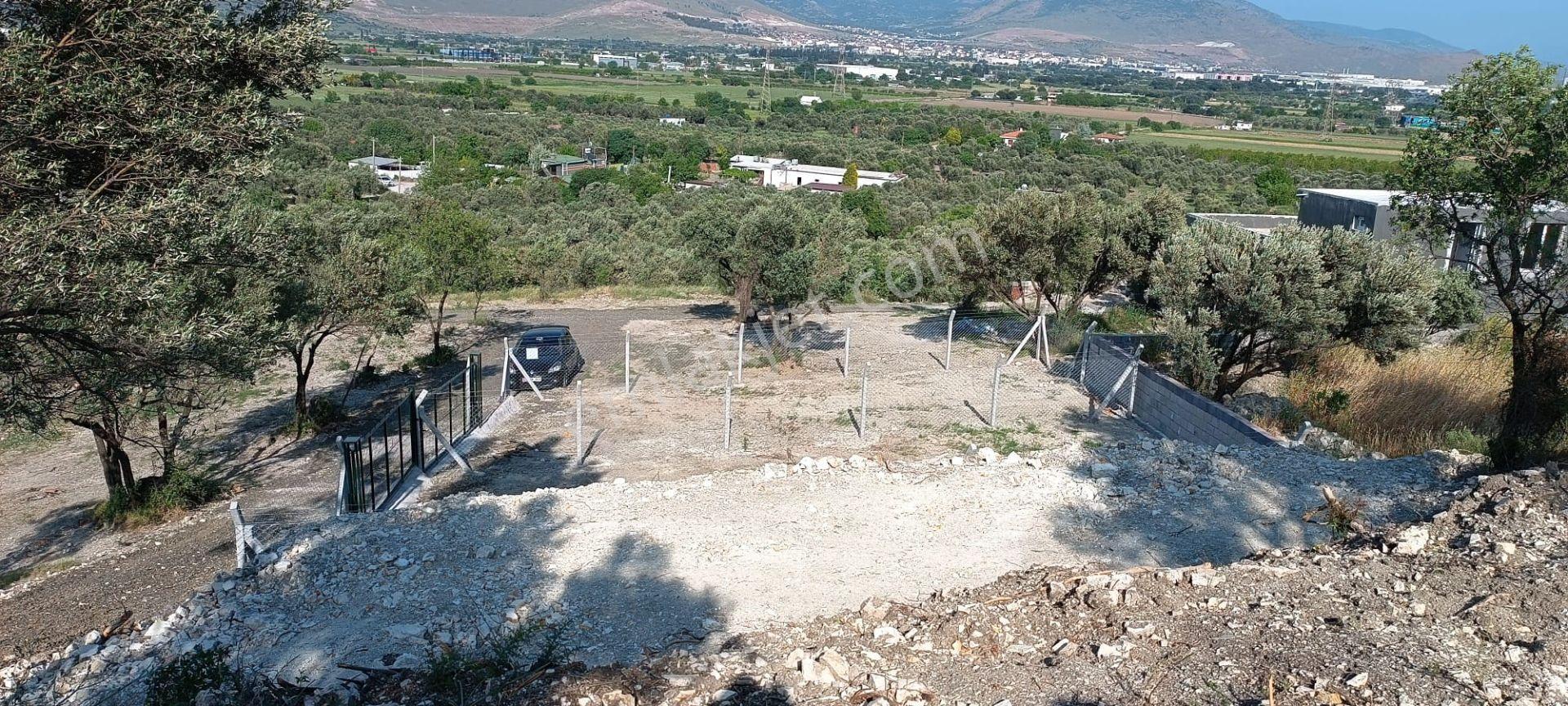 Aliağa Barbaros Hayrettin Paşa Mahallesinde İmar Dibinde Satılık Bahçe - Görsel 8
