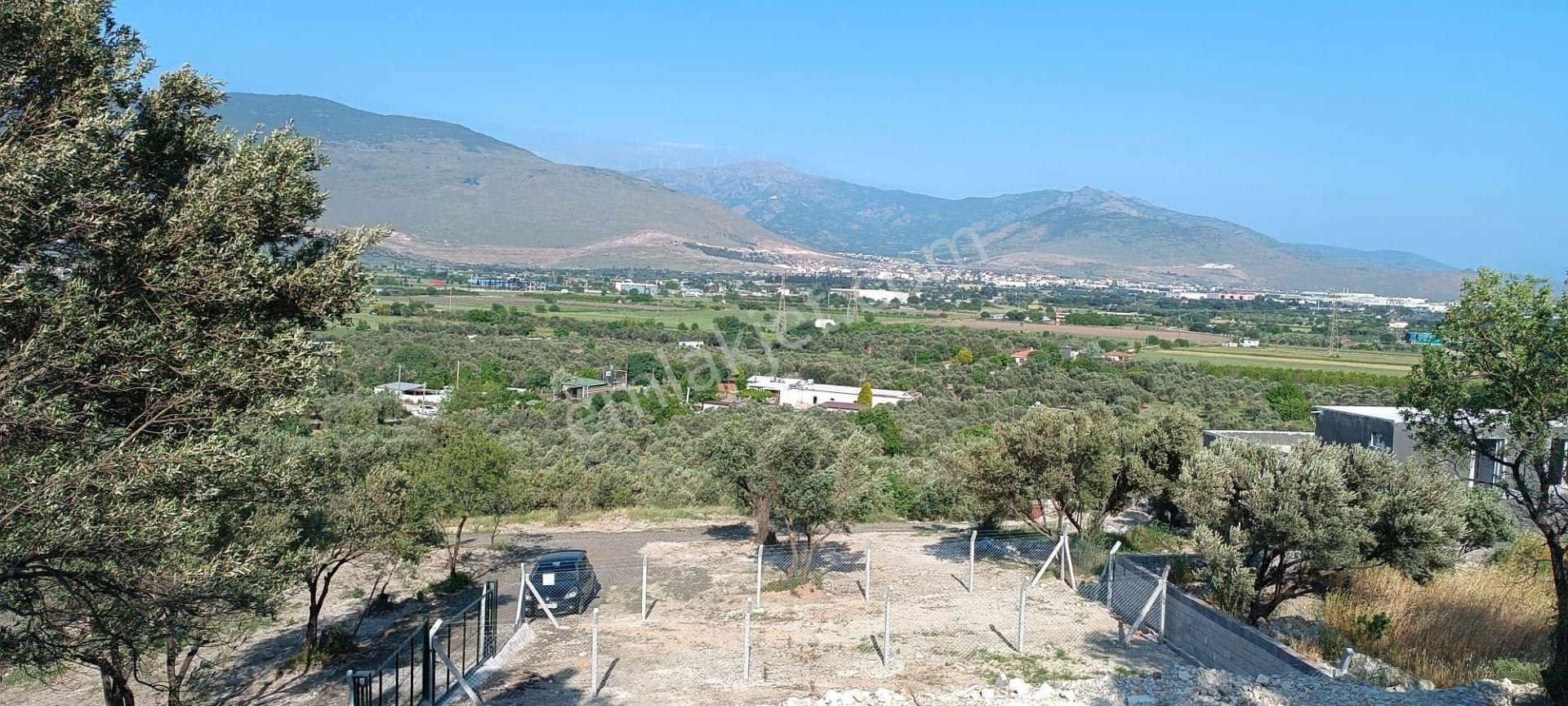 Aliağa Barbaros Hayrettin Paşa Mahallesinde İmar Dibinde Satılık Bahçe - Görsel 7
