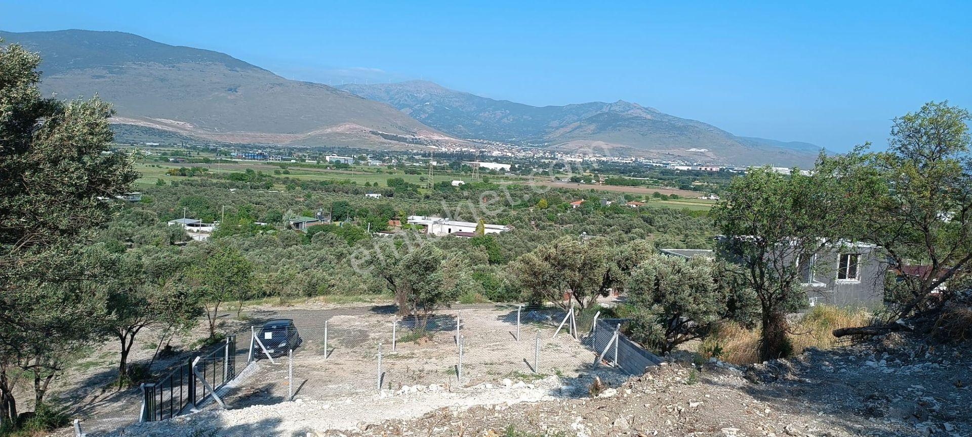 Aliağa Barbaros Hayrettin Paşa Mahallesinde İmar Dibinde Satılık Bahçe