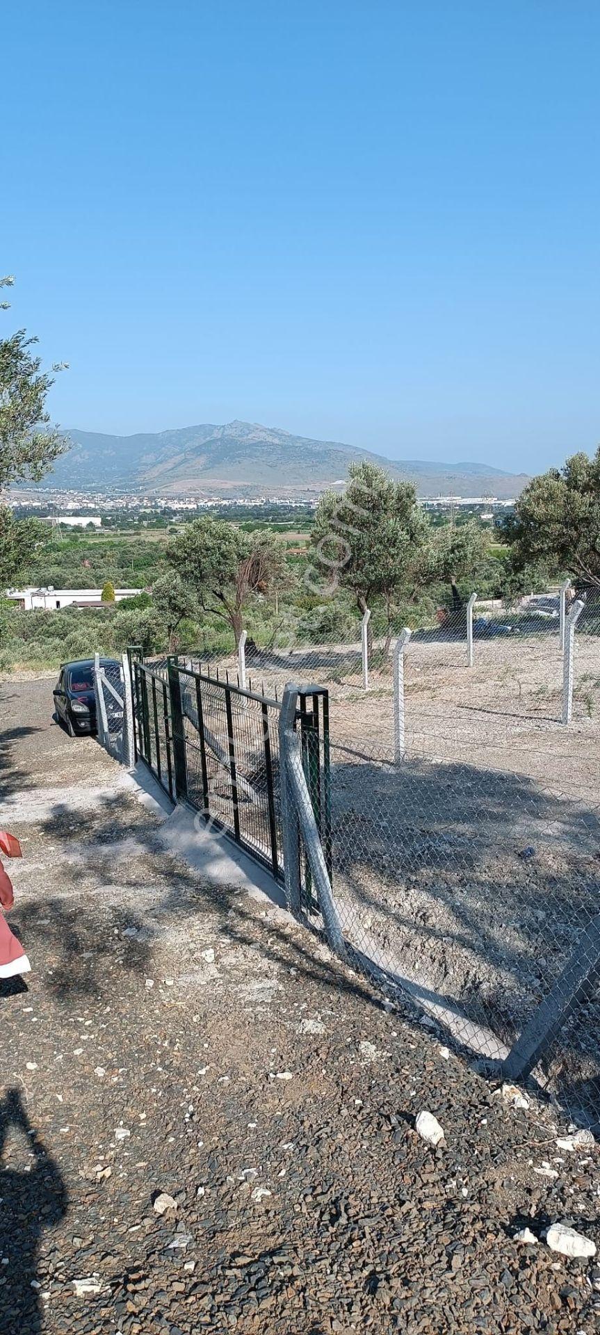 Aliağa Barbaros Hayrettin Paşa Mahallesinde İmar Dibinde Satılık Bahçe - Görsel 4